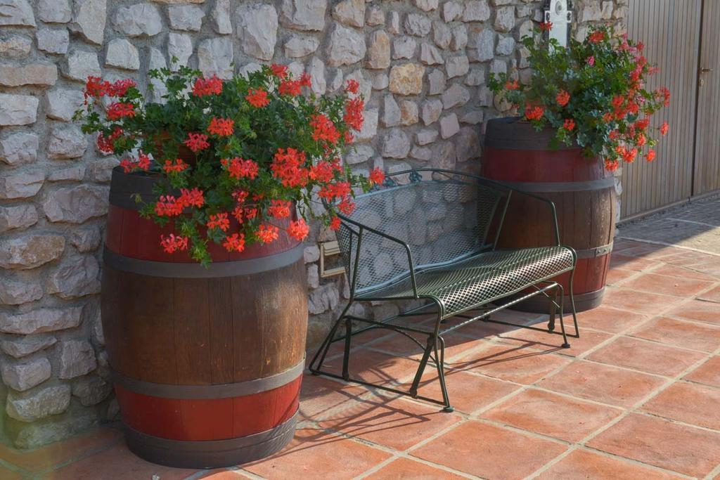 Agriturismo Kogoj Medea Exterior foto